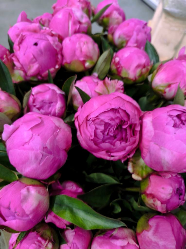 & 499559767_691597800248168_1767354841898476357_n